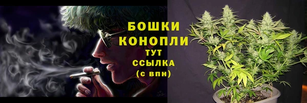 ешки Лагань