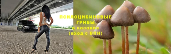 герыч Ладушкин