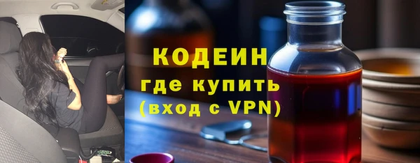 молекула духа Лабытнанги