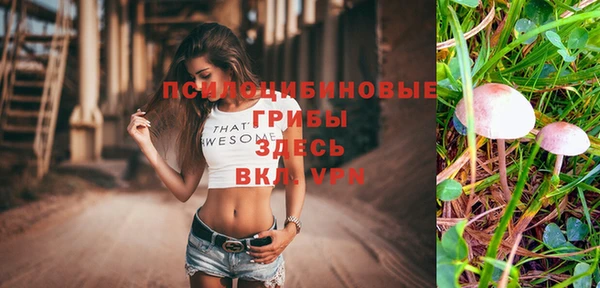 герыч Ладушкин