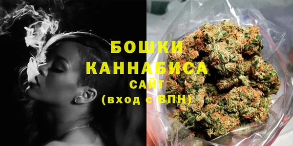 молекула духа Лабытнанги