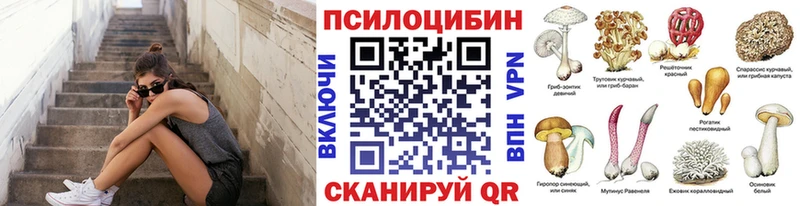 Галлюциногенные грибы мухоморы Купить закладки Киреевск